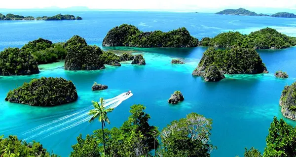 Snorkel em Raja Ampat